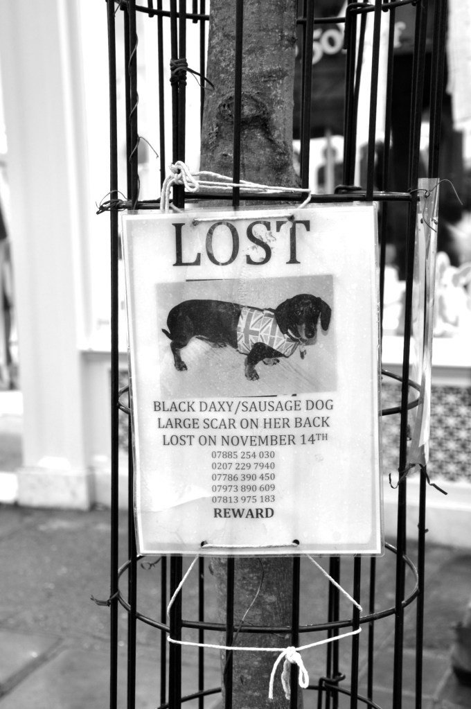 IMG_4199 - Version 2