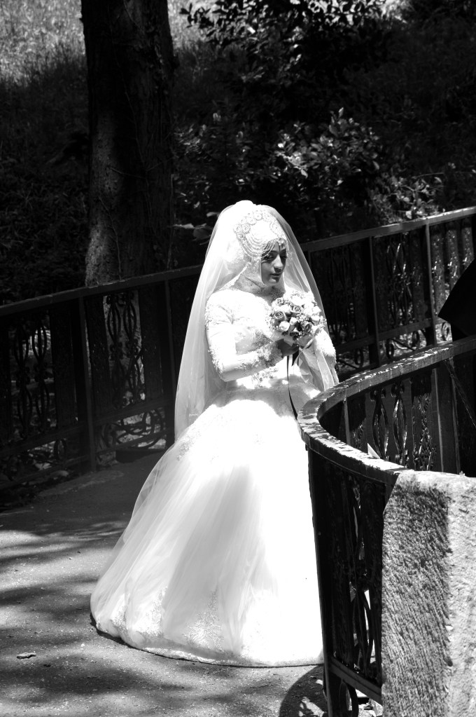 DSC_0881 - Version 2