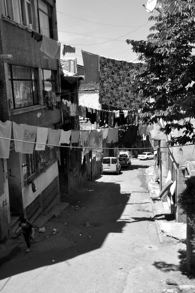 DSC_1095 - Version 2