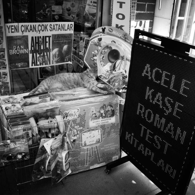 IMG_5810 - Version 2