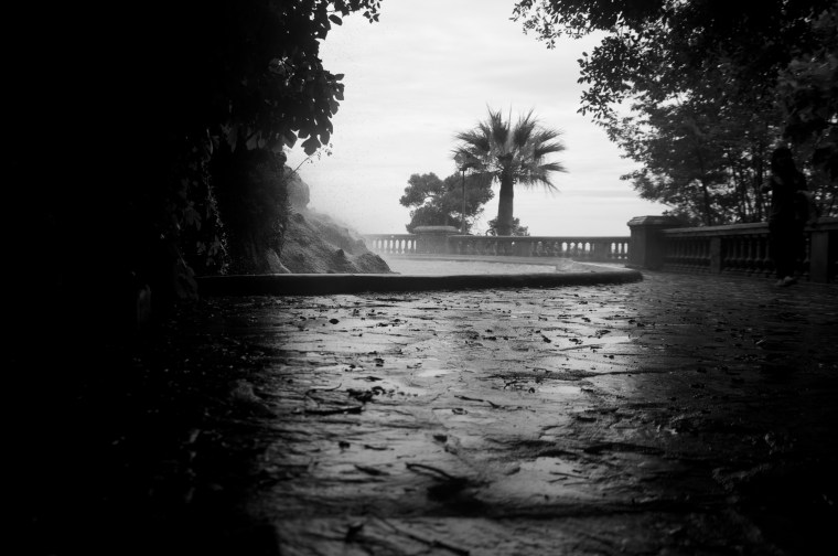 _DSC0006 - Version 2