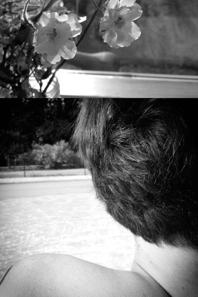 IMG_6652 - Version 2