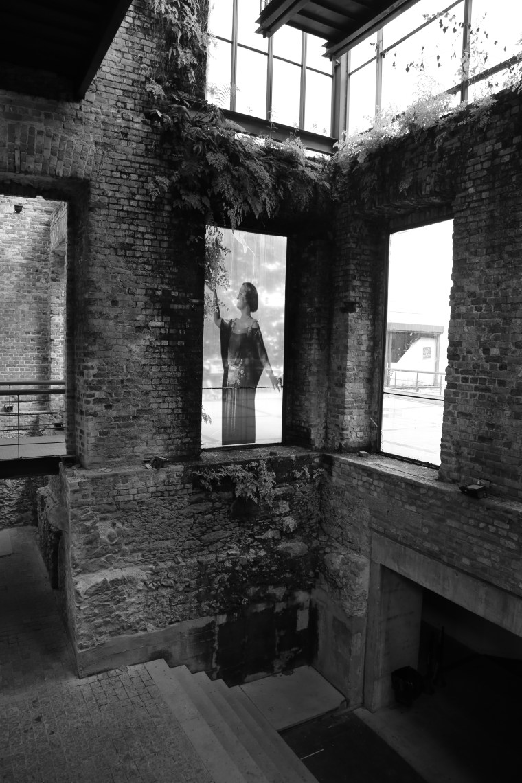 HZ9B0130 - Version 2.jpg