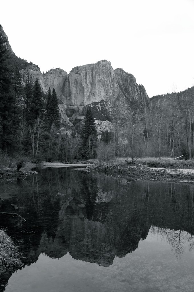 HZ9B2743 - Version 2