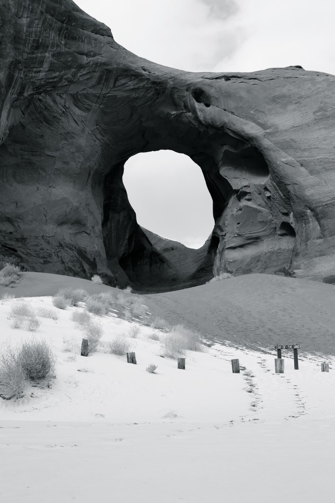 HZ9B3786 - Version 2