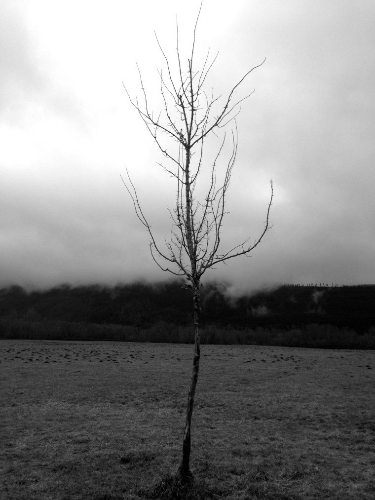 IMG_0288 - Version 2